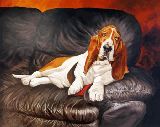Basset Hound Dog paint by number
