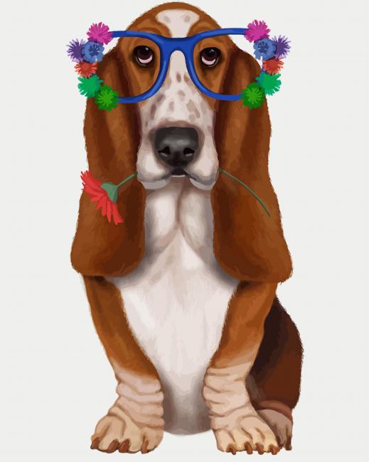 Basset Hound And Glasses paint by number