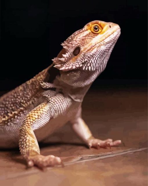 Bearded Dragon Lizard paint by number