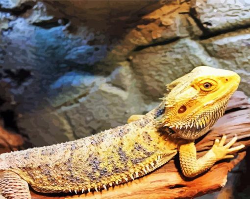 Bearded Dragon Lizard Reptiles paint by number