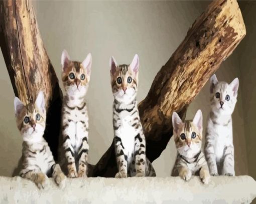 Bengal Kitties paint by numbers