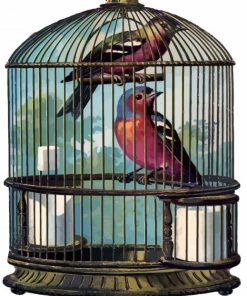 Birds In Cage paint by numbers