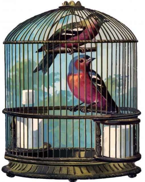 Birds In Cage paint by numbers