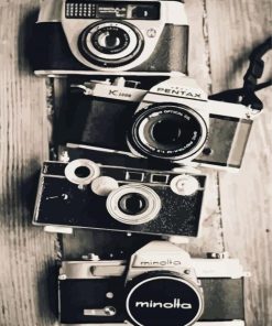 Black And White Cameras paint by numbers