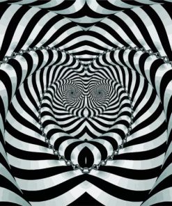 Black And White Illusion Art paint by numbers