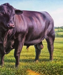 Black Angus Bull paint by numbers