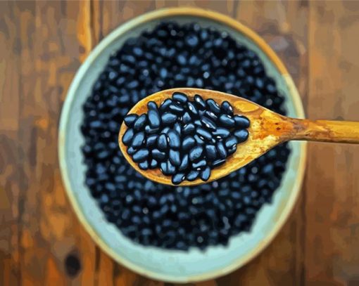 Black Beans paint by numbers
