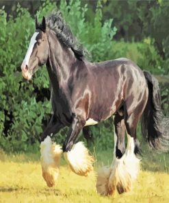 Black Shire Horse paint by numbers