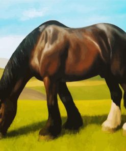 Black White Shire Horse paint by numbers