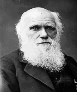 Black And White Charles Darwin paint by numbers