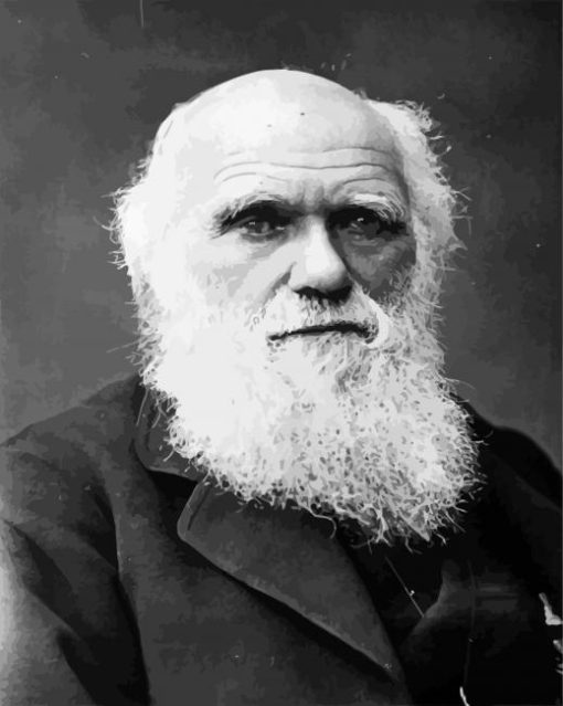 Black And White Charles Darwin paint by numbers