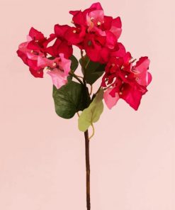 Blooming Pink Bougainvillea paint by numbers