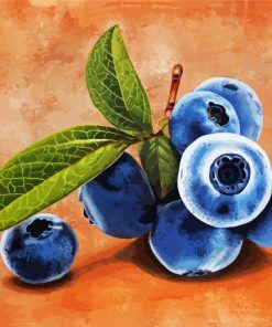 Bluberry Fruit paint by numbers