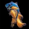 Blue Gold Siamese Fish paint by numbers