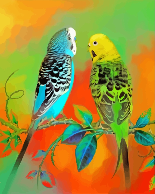 Blue Green Budgies paint by numbers