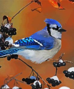 Blue Jay Bird Art paint by number