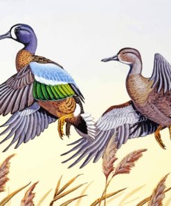 Blue Winged Teal Art paint by numbers
