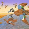 Blue Winged Teal Birds Flying paint by numbers