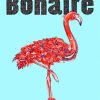 Bonaire Flamingo Poster paint by number
