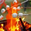 Bonfire Marshmallows Party paint by number