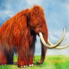 Brown Mammoth Animal paint by number