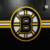 Bruins Ice Hockey Team Logo paint by numbers