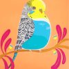 Budgie Bird paint by numbers