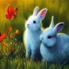 Bunnies And Butterflies paint by numbers