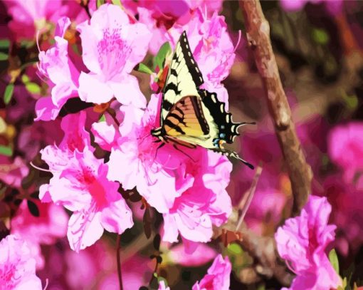 Butterfly On Azaleas Flowers paint by numbers