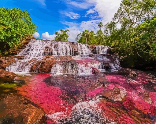 Cano Cristales Columbia paint by number