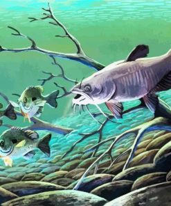 Carp Catfish Underwater paint by numbers