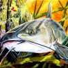 Carp Catfish paint by numbers