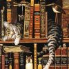 Cat Sleeping In A Bookcase paint by numbers