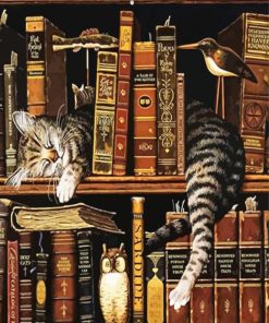 Cat Sleeping In A Bookcase paint by numbers