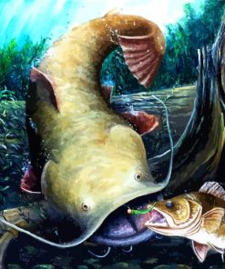 Catfish Carp Fish paint by numbers
