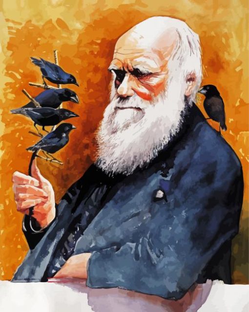 Charles Darwin Arts paint by numbers
