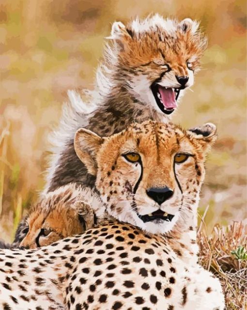 Cheetah And Young Cub paint by number