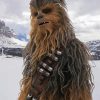 chewbacca paint by numbers