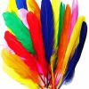 Colorful Bird Feathers paint by number
