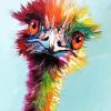 Colourful Emu Head paint by numbers
