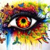 Colourful Splash Eye paint by numbers