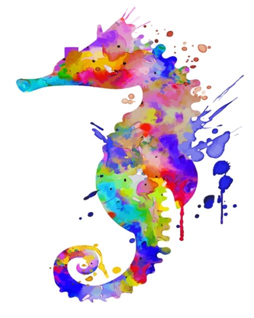 Colorful Splatter Seahorse paint by numbers