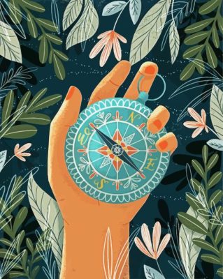 Compass Illustration Art paint by numbers