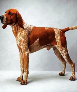Coonhound paint by numbers