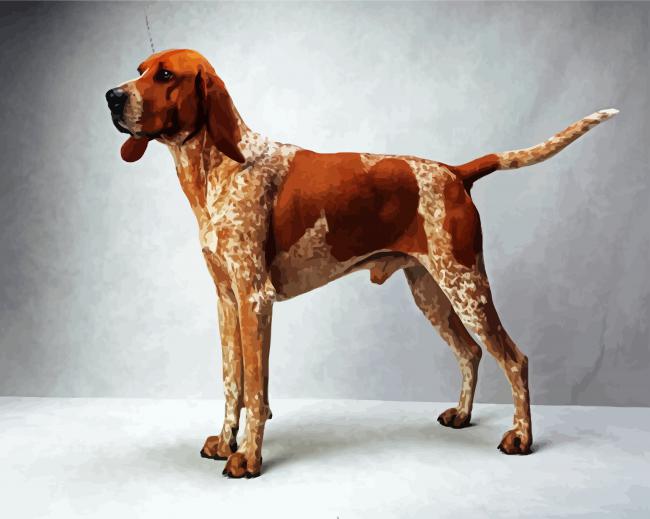 Coonhound paint by numbers