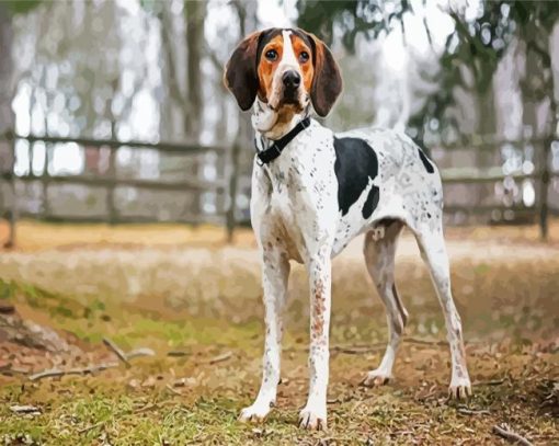 Coonhound paint by number