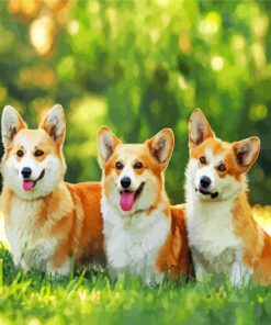 Corgis Puppies paint by number