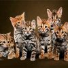 Cute Bengal Kitties paint by number