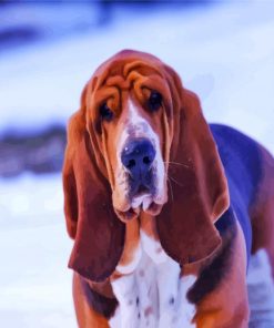 Cute Bloodhound In Snow paint by numbers