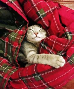 Cute Cat Sleeping In A Blanket paint by numbers